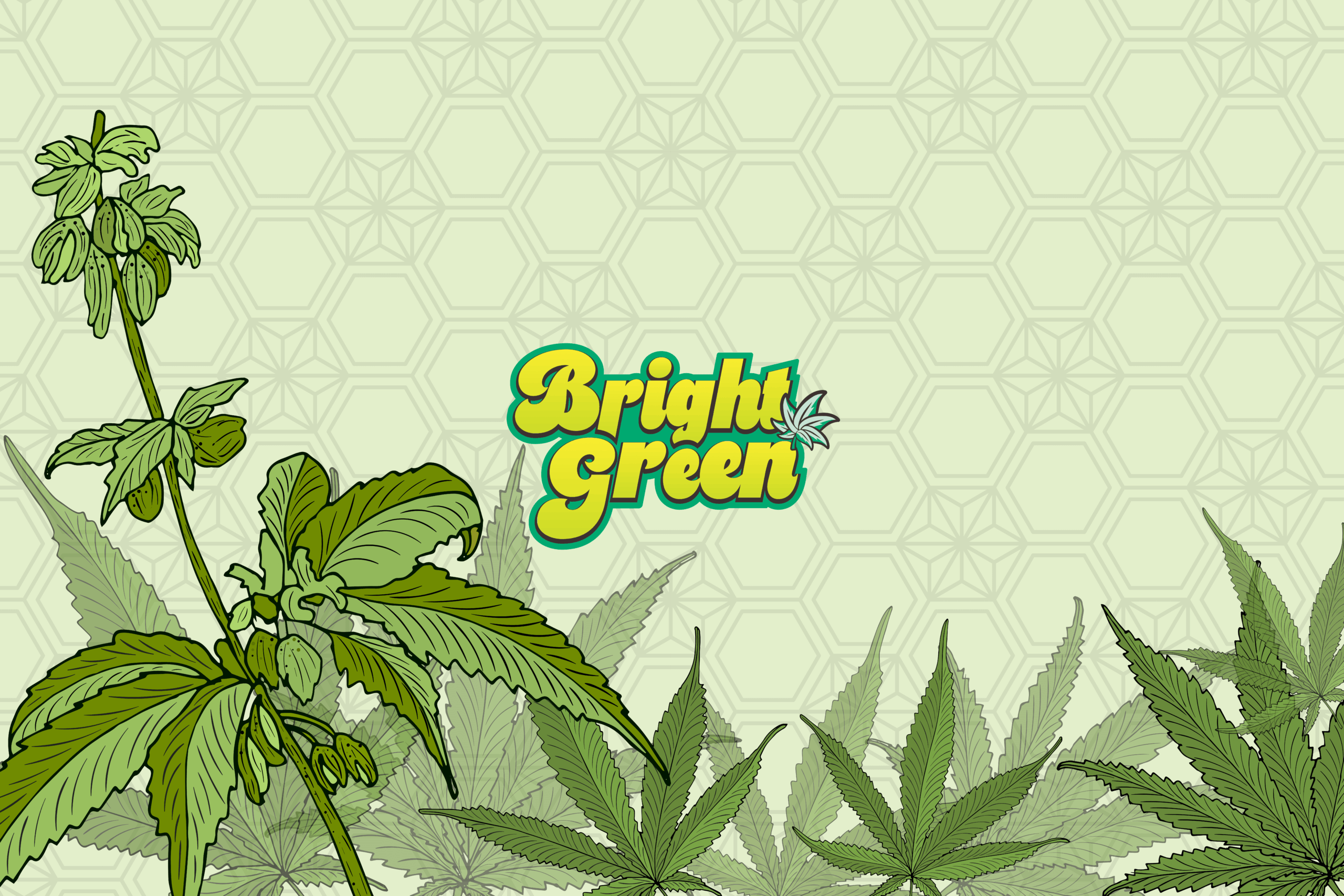 TRUE テルペン 香料 CBD CBN CBG 10ml ジャックザリッパー DEVICE | OTHERに関する記事一覧